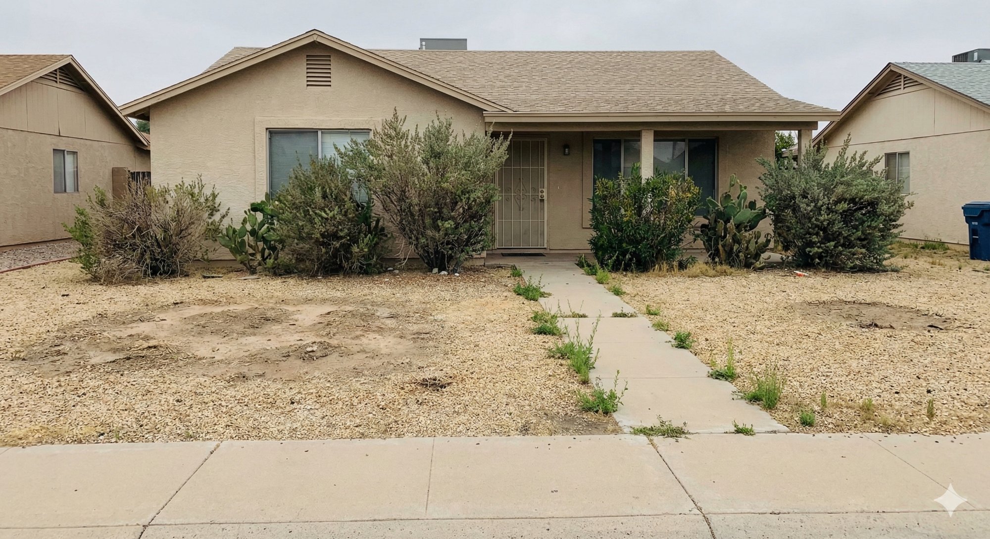 Front yard before: weeds, overgrown bushes